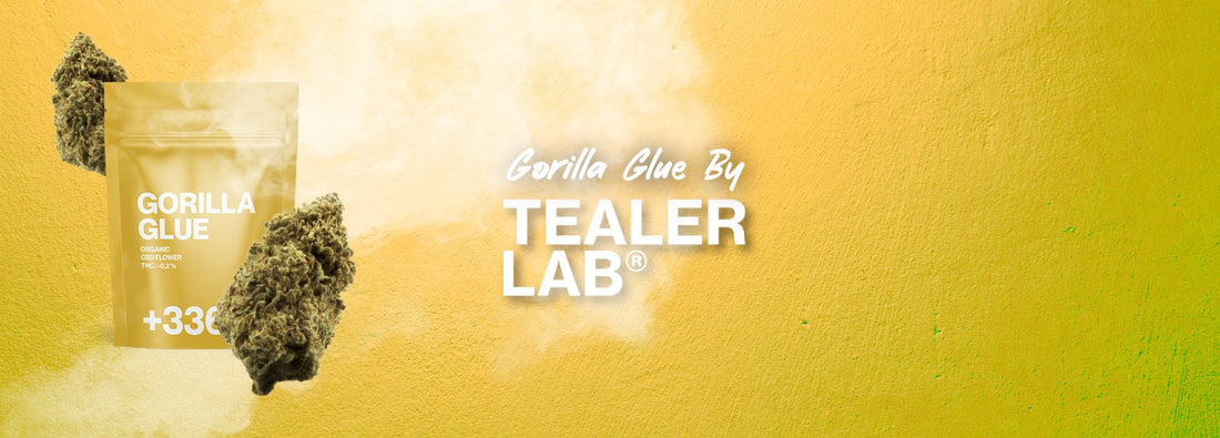 colla gorilla cbd tealerlab
