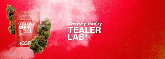 fresa diesel cbd tealerlab