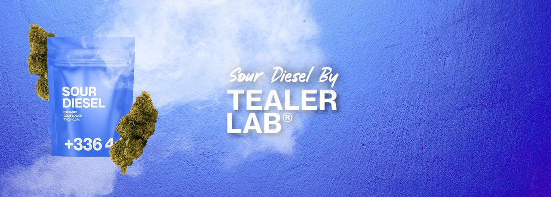 diesel acido cbd tealerlab