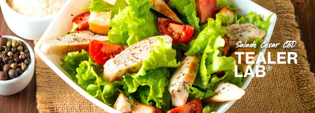 insalata cesar cbd tealerlab
