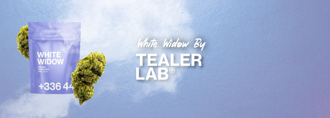 vedova bianca cbd tealerlab